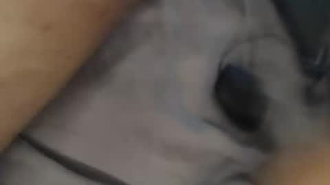 Snapshot of yallayalla1806 chatting on November 18, 2:17 am yallayalla1806 online show from November 18, 2:17 am