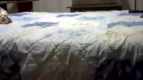 Yankee online show from July 26, 5:37 am