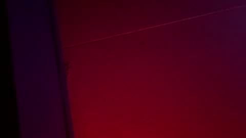 Ella Ts online show from December 1, 10:42 am