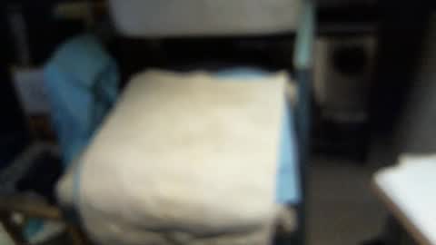 Snapshot of yellowsnakes chatting on February 3, 4:43 am . y e l l o w s n a k e s . online show from February 3, 4:43 am