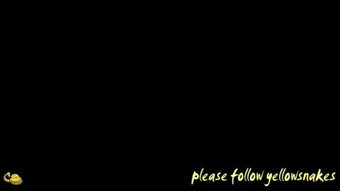 Snapshot of yellowsnakes chatting on February 8, 9:34 am . y e l l o w s n a k e s . online show from February 8, 9:34 am