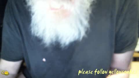 Snapshot of yellowsnakes chatting on February 10, 9:57 am . y e l l o w s n a k e s . online show from February 10, 9:57 am