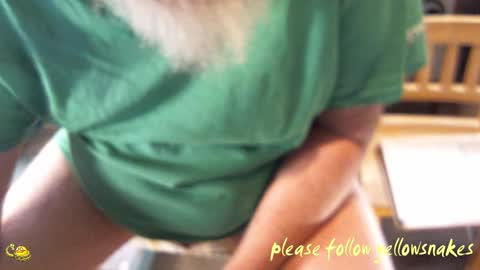 .     y e l l o w s n a k e s       . online show from March 19, 12:03 am