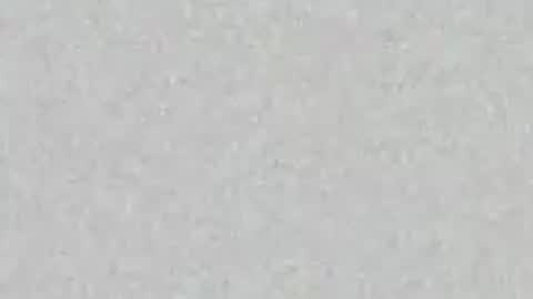 .     y e l l o w s n a k e s       . online show from April 16, 1:56 pm