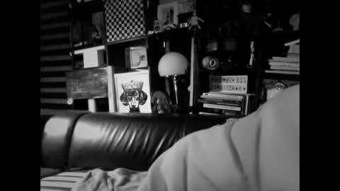 yessex247 online show from February 19, 6:20 am