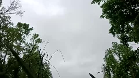 Fucktoy online show from April 27, 1:42 pm