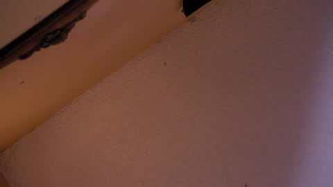 Snapshot of your_king_of_hearts chatting on October 18, 2:58 am Sophiestar online show from October 18, 2:58 am