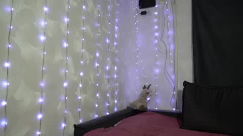 Meri  online show from February 20, 9:15 pm