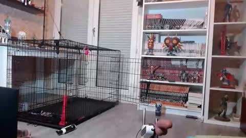 Snapshot of your_sissy_bitch chatting on February 19, 7:10 pm Owned by Hell On Heels online show from February 19, 7:10 pm