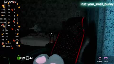 Snapshot of your_small_bunny chatting on November 16, 2:06 am Molly online show from November 16, 2:06 am