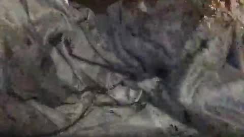 yungin470 online show from February 25, 8:46 am