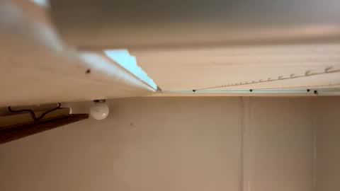 yungstudbev online show from March 1, 12:40 pm