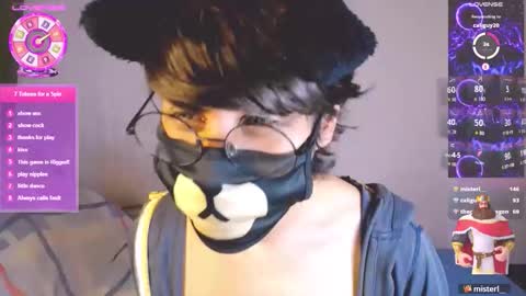 the puppy boy online show from March 5, 4:08 am