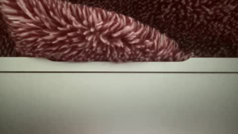 Snapshot of z95141 chatting on October 22, 3:56 pm z95141 online show from October 22, 3:56 pm