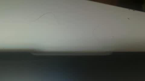 Snapshot of zachbundy chatting on November 1, 8:49 am zachbundy online show from November 1, 8:49 am