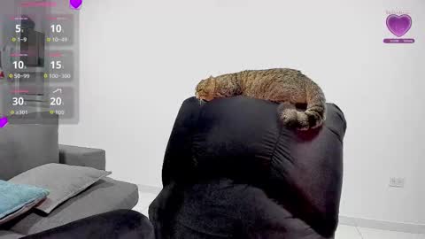 zafiralov online show from December 5, 2:20 am