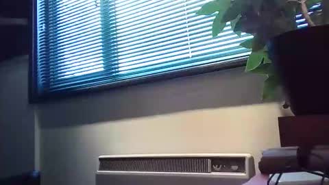 zalina2 online show from February 13, 4:03 pm