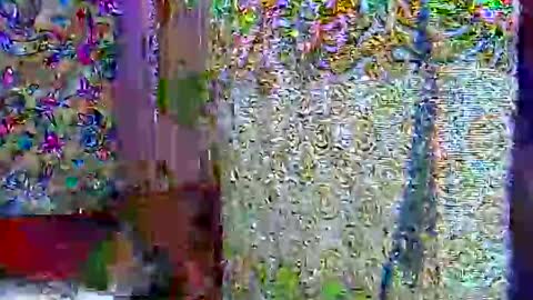 zarinamarlin online show from April 9, 7:03 am