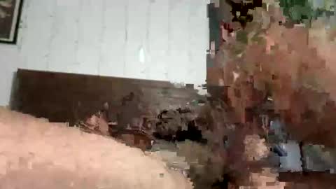 Snapshot of zayd3n69 chatting on October 23, 7:07 am zayden online show from October 23, 7:07 am