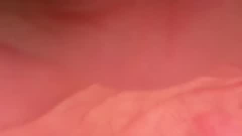 zebbarbrahim online show from December 1, 2:22 pm