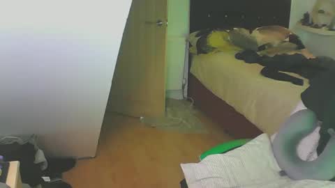 Snapshot of zedbooy chatting on December 28, 4:09 pm Zed online show from December 28, 4:09 pm