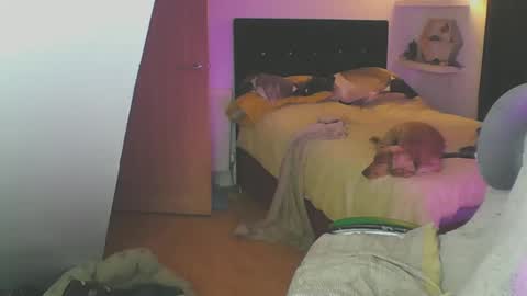 Snapshot of zedbooy chatting on January 19, 6:10 pm Zed online show from January 19, 6:10 pm