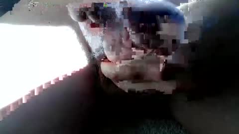 Snapshot of zenflex chatting on November 22, 11:42 am zenflex online show from November 22, 11:42 am