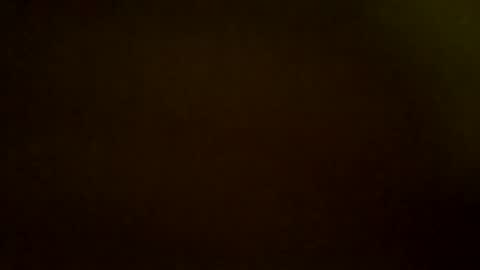 9.3 inch online show from November 8, 9:24 pm