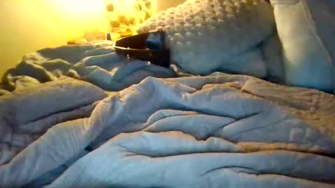 9.3 inch online show from December 17, 12:49 am