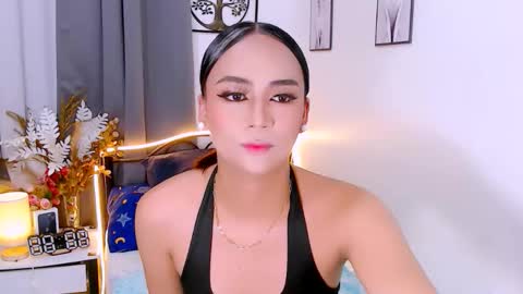 Zia online show from November 25, 2:44 am