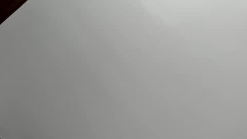 zia online show from December 16, 1:16 pm