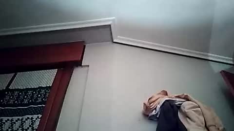 zigor13 online show from March 24, 6:57 pm