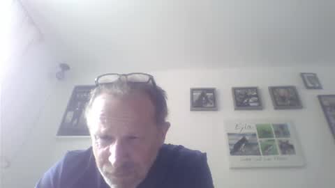 Snapshot of zippi55 chatting on July 17, 1:29 pm Zippi online show from July 17, 1:29 pm