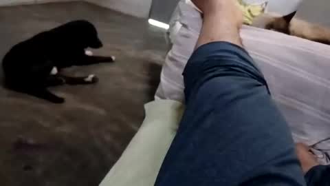 zitojose73 online show from October 8, 6:49 pm