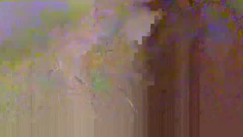 zobrythickock online show from October 29, 5:25 pm