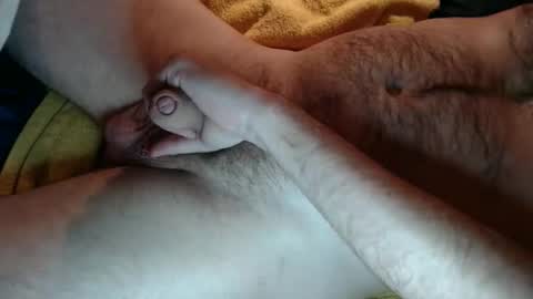 Snapshot of zobzob67 chatting on September 10, 2:39 pm Tom online show from September 10, 2:39 pm