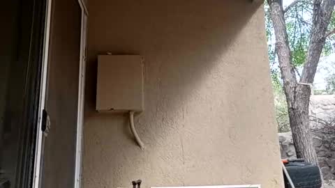 zoeoved92 online show from October 8, 4:37 pm