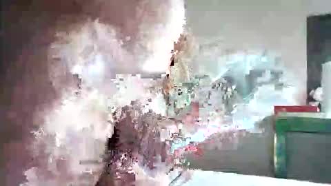 zogum online show from November 1, 11:29 pm
