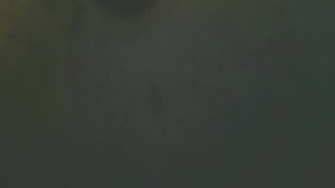 Snapshot of zomma44 chatting on May 27, 3:03 am zomma44 online show from May 27, 3:03 am