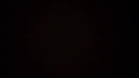 zoozdxb online show from January 17, 7:50 pm