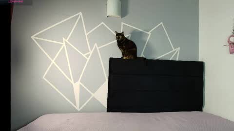 zpzphot online show from March 25, 8:37 pm