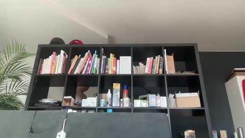 zwickauer1969 online show from February 27, 8:06 am