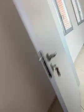 buodiculo online show from February 27, 8:28 am