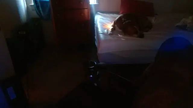 DADDY KANE8--- online show from January 17, 9:29 pm