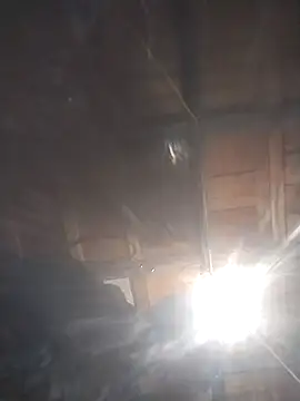 Spoonish online show from January 11, 8:08 am