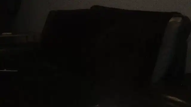 Pup Rush online show from September 21, 12:45 am