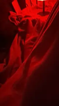 Snapshot of BirdyOfficial__ chatting on November 7, 1:27 am BirdyOfficial online show from November 7, 1:27 am