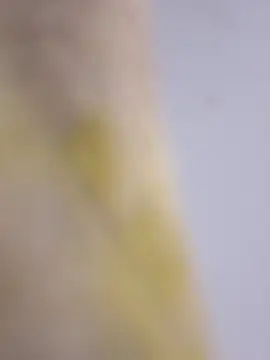 Mane leet online show from January 14, 1:50 pm