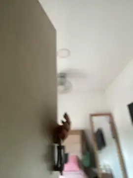 Lia flowers online show from March 2, 5:25 pm