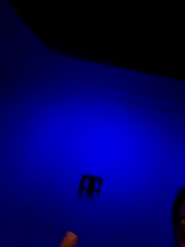 moniqque online show from December 3, 7:34 pm